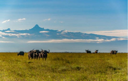 Mount Kenya